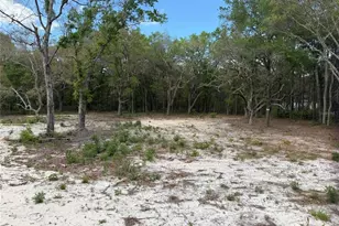 10671 NE 75th St, Bronson, FL 32621 - Photo 15