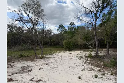 10671 NE 75th Street, Bronson, FL 32621 - Photo 13