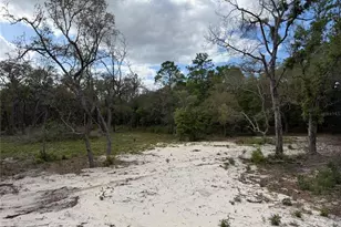 10671 NE 75th St, Bronson, FL 32621 - Photo 13