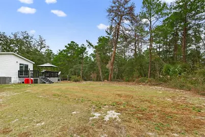 117 Stoddard Road, Crescent City, FL 32112 - Photo 73