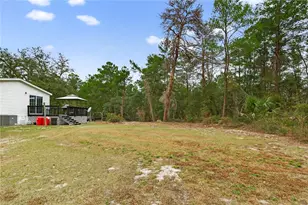 117 Stoddard Rd, Crescent City, FL 32112 - Photo 73