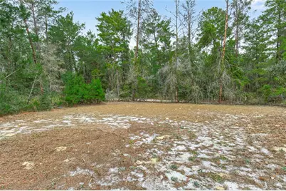 117 Stoddard Road, Crescent City, FL 32112 - Photo 71