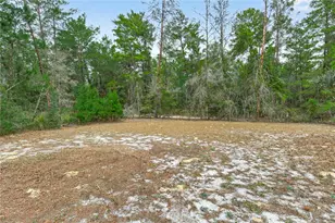 117 Stoddard Rd, Crescent City, FL 32112 - Photo 71