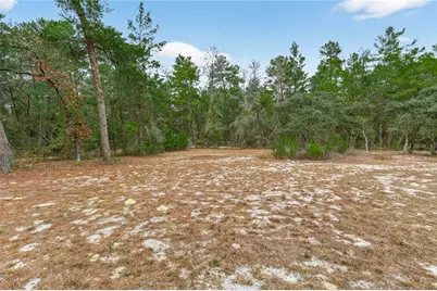 117 Stoddard Road, Crescent City, FL 32112 - Photo 69