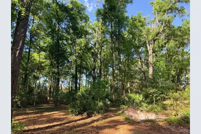 14790 NW 72nd Court, Chiefland, FL 32626 - Photo 33