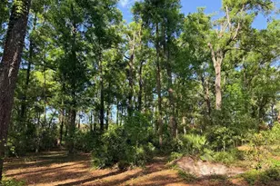 14790 NW 72nd Ct, Chiefland, FL 32626 - Photo 33