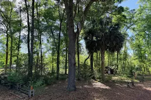 14790 NW 72nd Ct, Chiefland, FL 32626 - Photo 35