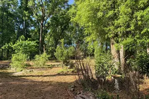 14790 NW 72nd Ct, Chiefland, FL 32626 - Photo 27