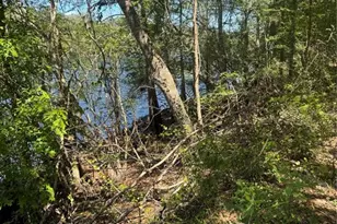 Tbd SW 25 Pl, Bell, FL 32619 - Photo 1