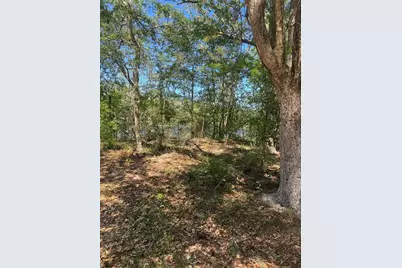 Tbd SW 25 Place, Bell, FL 32619 - Photo 5