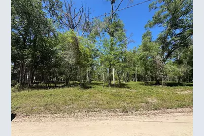 Tbd SW 25 Place, Bell, FL 32619 - Photo 3