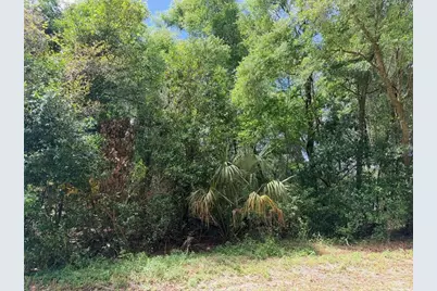 17170 NW 73rd Terrace, Trenton, FL 32693 - Photo 1