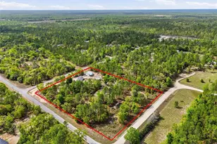 2640 NE 74th Ave, High Springs, FL 32643 - Photo 3