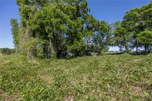 15611 NW 173rd St, Alachua, FL 32615 - Photo 7