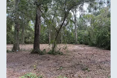 1410 NW 10th Street, Chiefland, FL 32626 - Photo 3