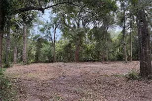 1410 NW 10th St, Chiefland, FL 32626 - Photo 1