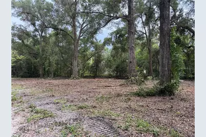 1410 NW 10th Street, Chiefland, FL 32626 - Photo 5