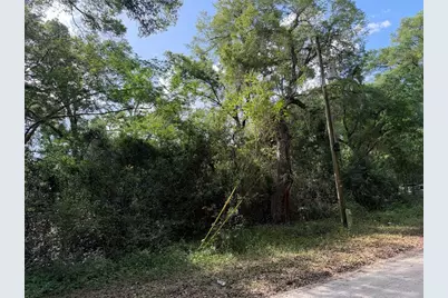 1410 NW 10th Street, Chiefland, FL 32626 - Photo 3
