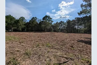 5781 SW 91st Place, Lake Butler, FL 32054 - Photo 1