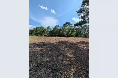 5781 SW 91st Place, Lake Butler, FL 32054 - Photo 3