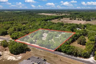 3169 N US Hwy 129, Bell, FL 32619 - Photo 39