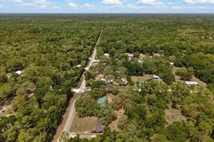8731 NW 127th Pl, Chiefland, FL 32626 - Photo 43