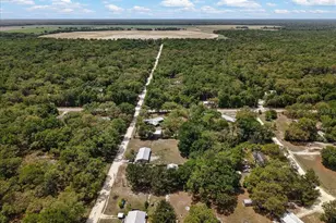 8731 NW 127th Pl, Chiefland, FL 32626 - Photo 41