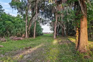 20361 1st St, Mc Intosh, FL 32664 - Photo 3