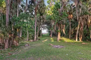 20361 1st St, Mc Intosh, FL 32664 - Photo 59