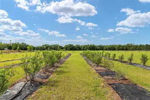 3725 172nd St, Wellborn, FL 32094 - Photo 95