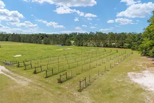 3725 172nd St, Wellborn, FL 32094 - Photo 15