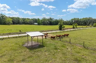 3725 172nd St, Wellborn, FL 32094 - Photo 19