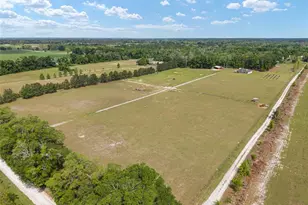 3725 172nd St, Wellborn, FL 32094 - Photo 3