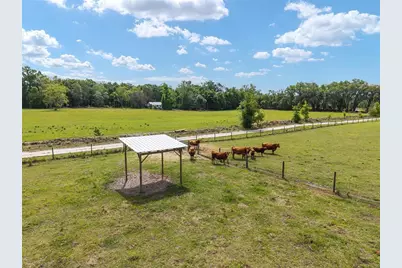 3725 172nd Street, Wellborn, FL 32094 - Photo 25