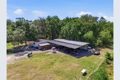 401 SE Falcon Road, Branford, FL 32008 - Photo 13