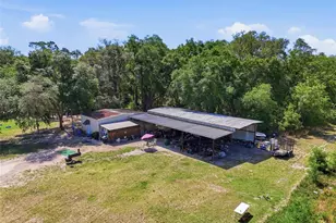 401 SE Falcon Rd, Branford, FL 32008 - Photo 13