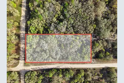 Lot 362 NE 82nd Place, Bronson, FL 32621 - Photo 3
