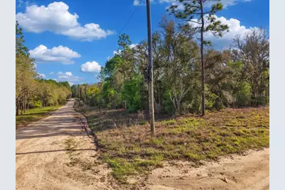 Lot 362 NE 82nd Place, Bronson, FL 32621 - Photo 11