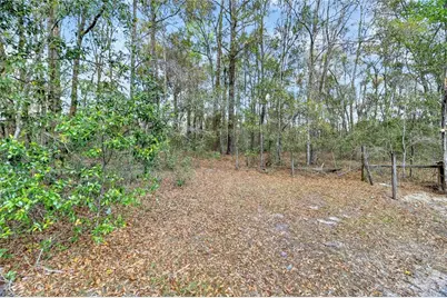14395 NE 50th Place, Williston, FL 32696 - Photo 23