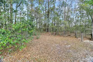 14395 NE 50th Pl, Williston, FL 32696 - Photo 23