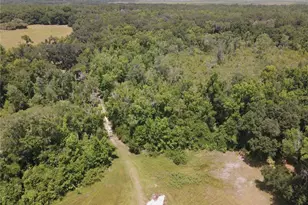 11804 SE County Road 234, Micanopy, FL 32667 - Photo 53