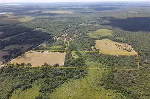 11804 SE County Road 234, Micanopy, FL 32667 - Photo 37