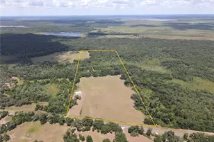 11804 SE County Road 234, Micanopy, FL 32667 - Photo 41
