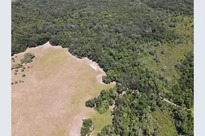 11804 SE County Road 234, Micanopy, FL 32667 - Photo 47