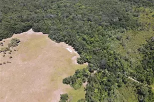 11804 SE County Road 234, Micanopy, FL 32667 - Photo 47