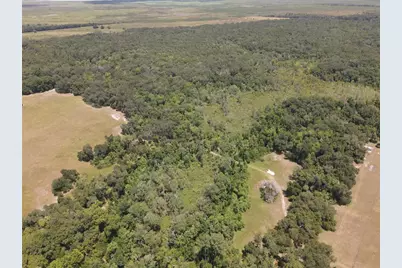 11804 SE County Road 234, Micanopy, FL 32667 - Photo 51
