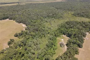 11804 SE County Road 234, Micanopy, FL 32667 - Photo 51