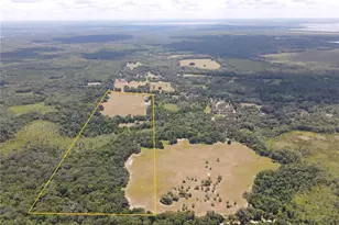 11804 SE County Road 234, Micanopy, FL 32667 - Photo 27