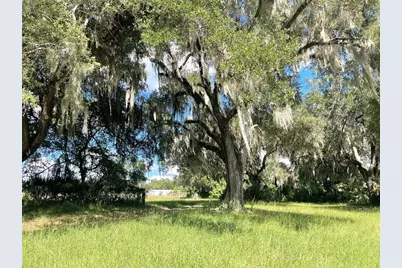 11804 SE County Road 234, Micanopy, FL 32667 - Photo 11