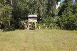 11804 SE County Road 234, Micanopy, FL 32667 - Photo 17